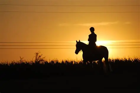 Sunset Rides